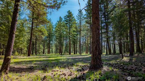 0 Tbd Mineral Hill Road Conconully WA 98819