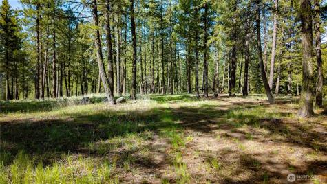 0 Tbd Mineral Hill Road Conconully WA 98819