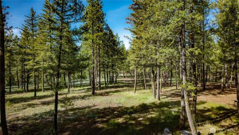0 Tbd Mineral Hill Road Conconully WA 98819