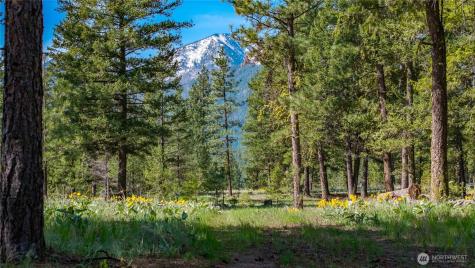0 Tbd Mineral Hill Road Conconully WA 98819