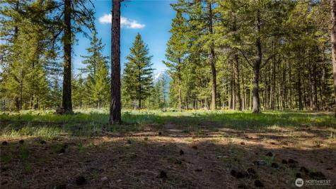 0 Tbd Mineral Hill Road Conconully WA 98819