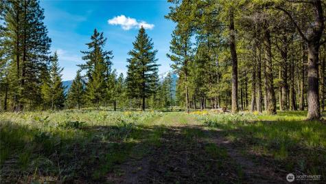 0 Tbd Mineral Hill Road Conconully WA 98819