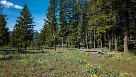 0 Tbd Mineral Hill Road Conconully WA 98819
