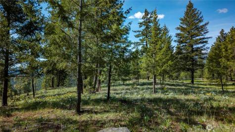 0 Tbd Mineral Hill Road Conconully WA 98819