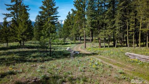 0 Tbd Mineral Hill Road Conconully WA 98819