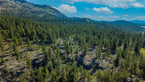 0 Tbd Mineral Hill Road Conconully WA 98819