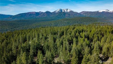 0 Tbd Mineral Hill Road Conconully WA 98819