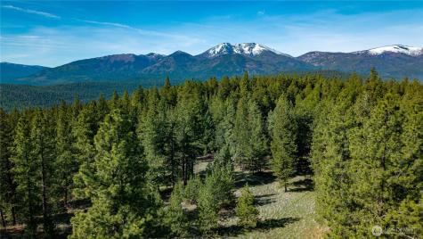0 Tbd Mineral Hill Road Conconully WA 98819