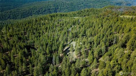 0 Tbd Mineral Hill Road Conconully WA 98819