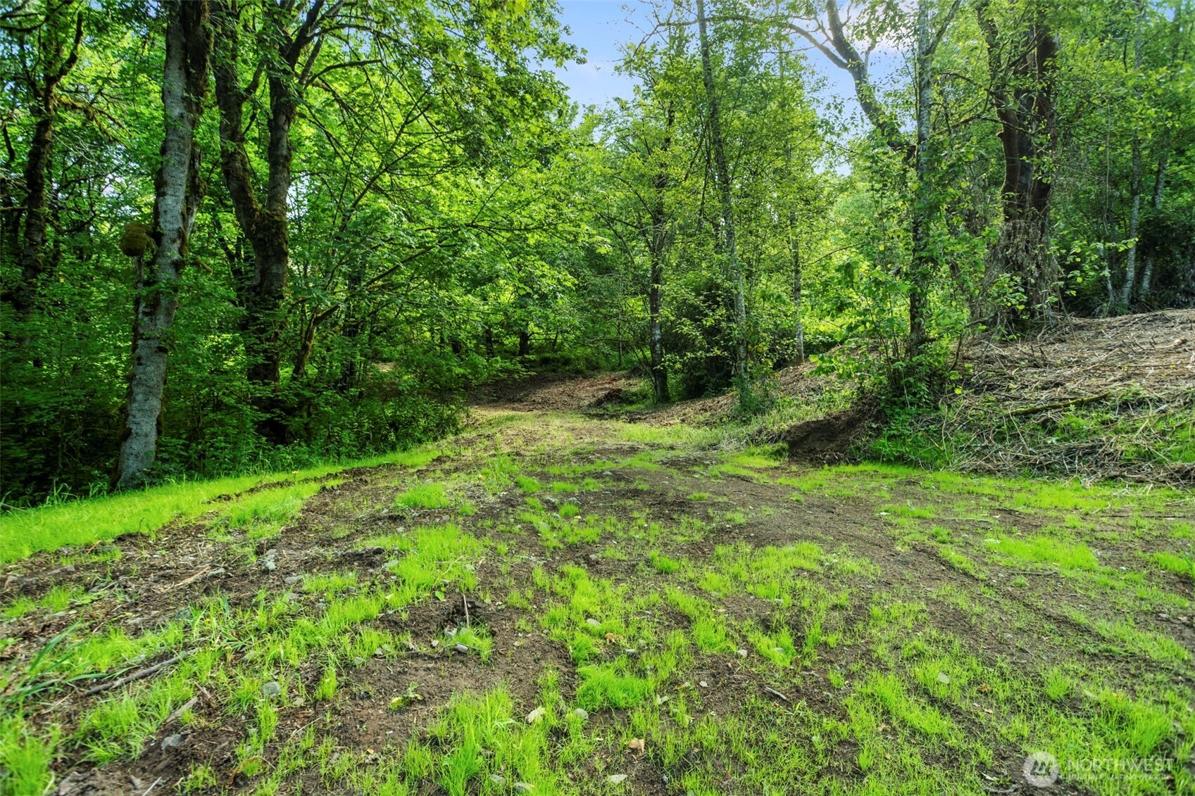 110 N Burke Road Woodland WA 98674