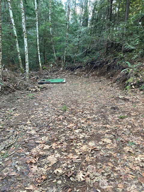 0 N Dow Ridge Hoodsport WA 98548