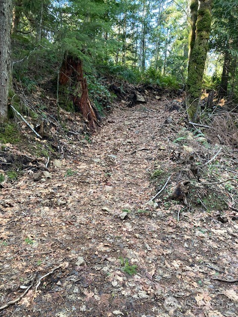 0 N Dow Ridge Hoodsport WA 98548