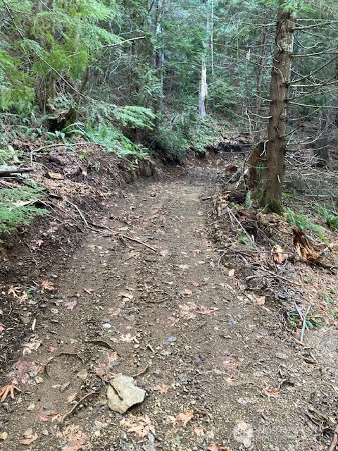 0 N Dow Ridge Hoodsport WA 98548
