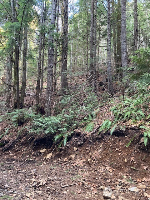 0 N Dow Ridge Hoodsport WA 98548