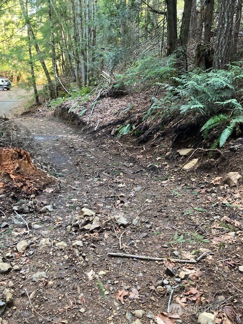 0 N Dow Ridge Hoodsport WA 98548