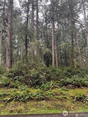 12708 Lovass Road Anderson Island WA 98303