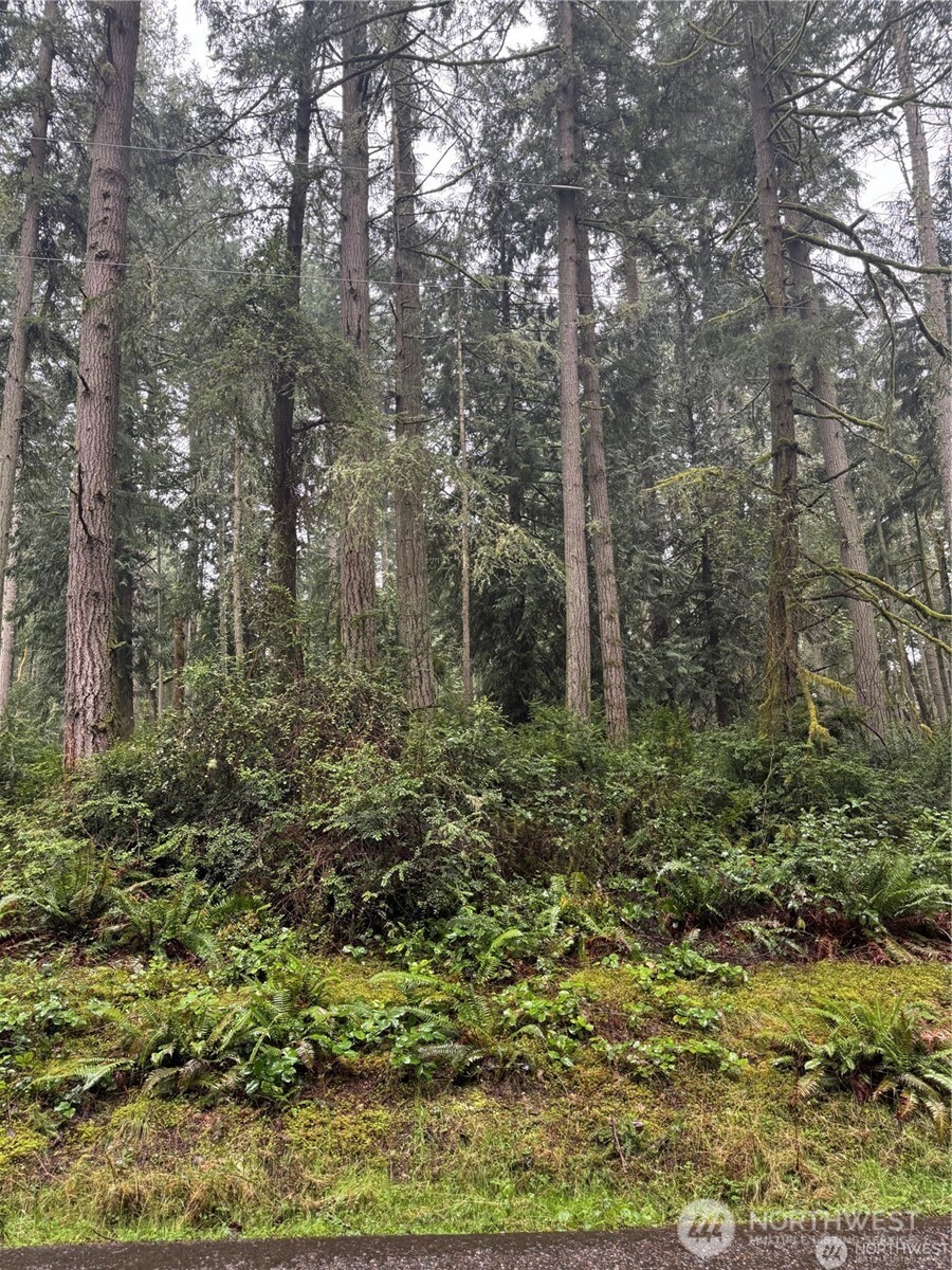 12708 Lovass Road Anderson Island WA 98303