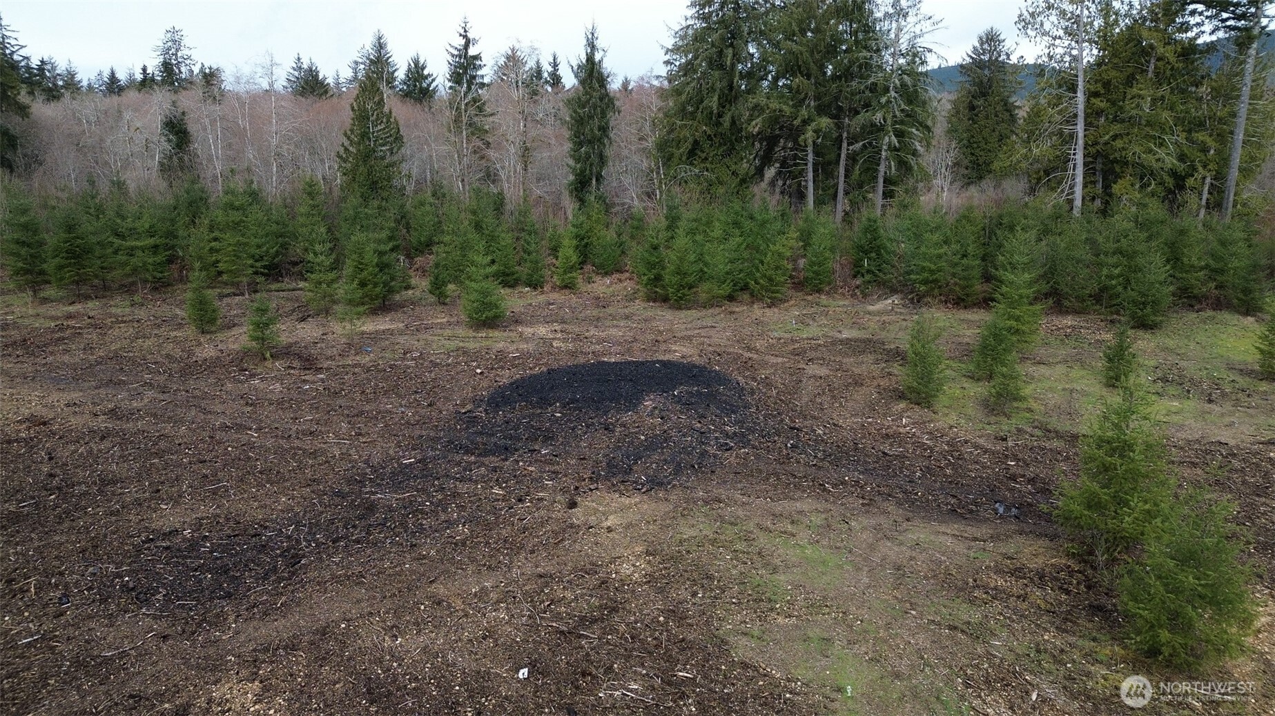 120 Larson Road Mccleary WA 98557
