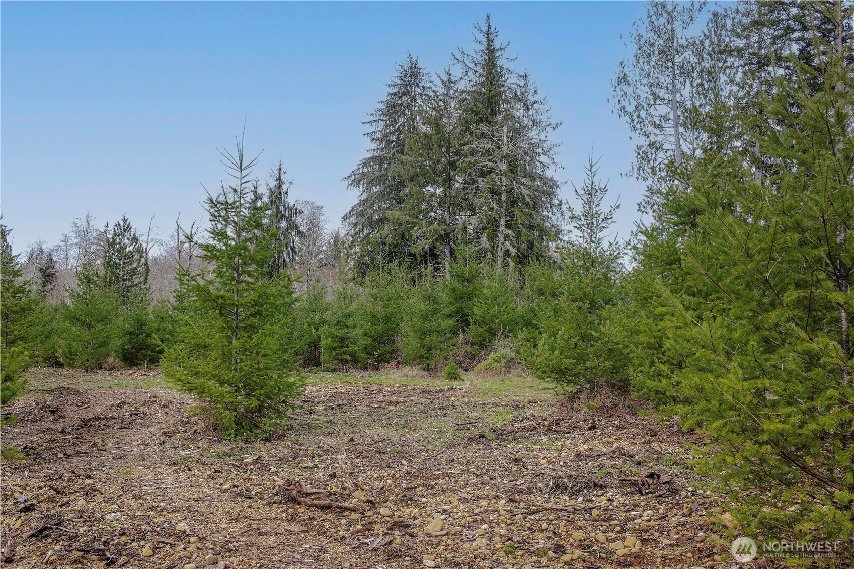 120 Larson Road Mccleary WA 98557