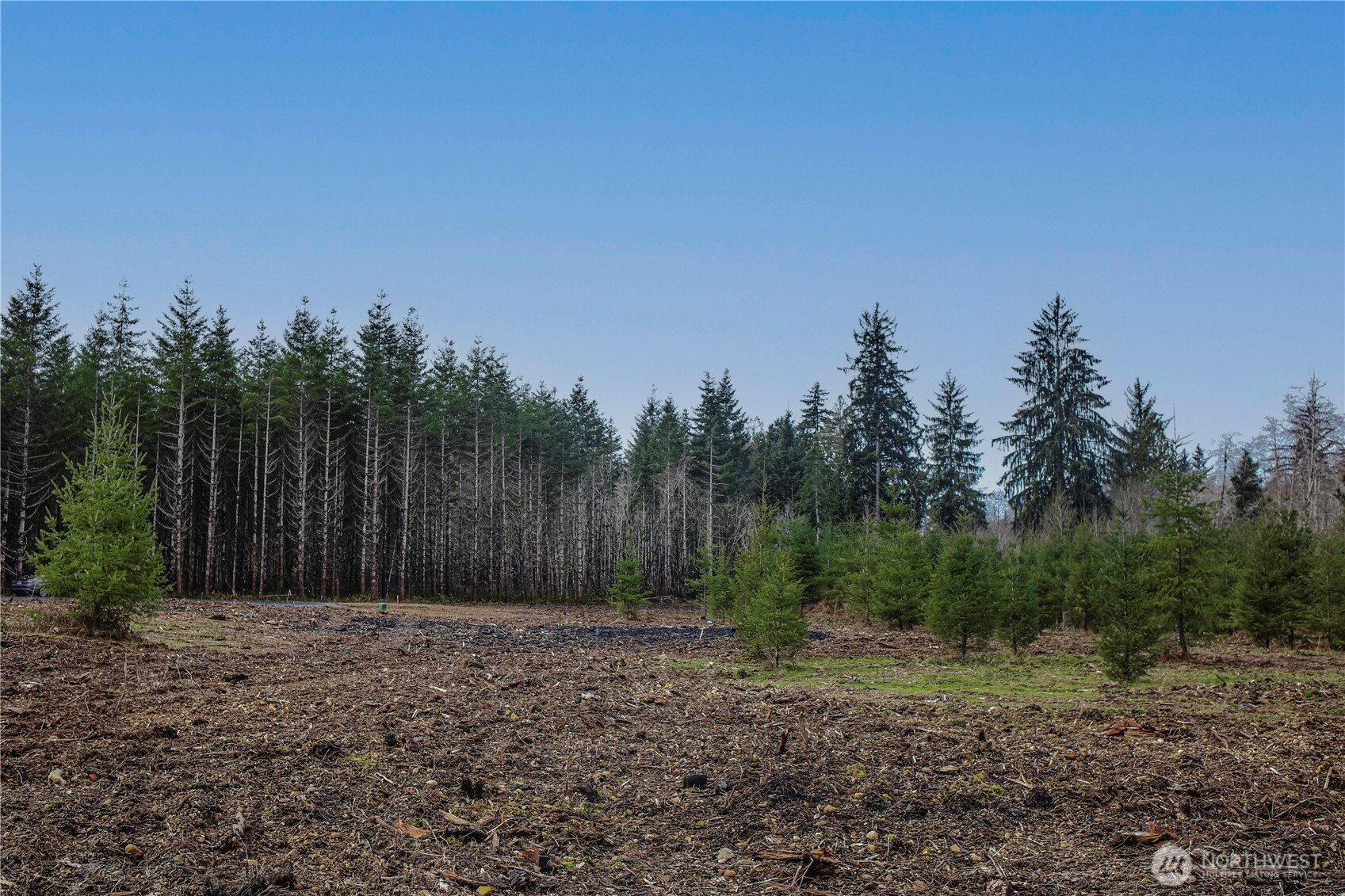 120 Larson Road Mccleary WA 98557