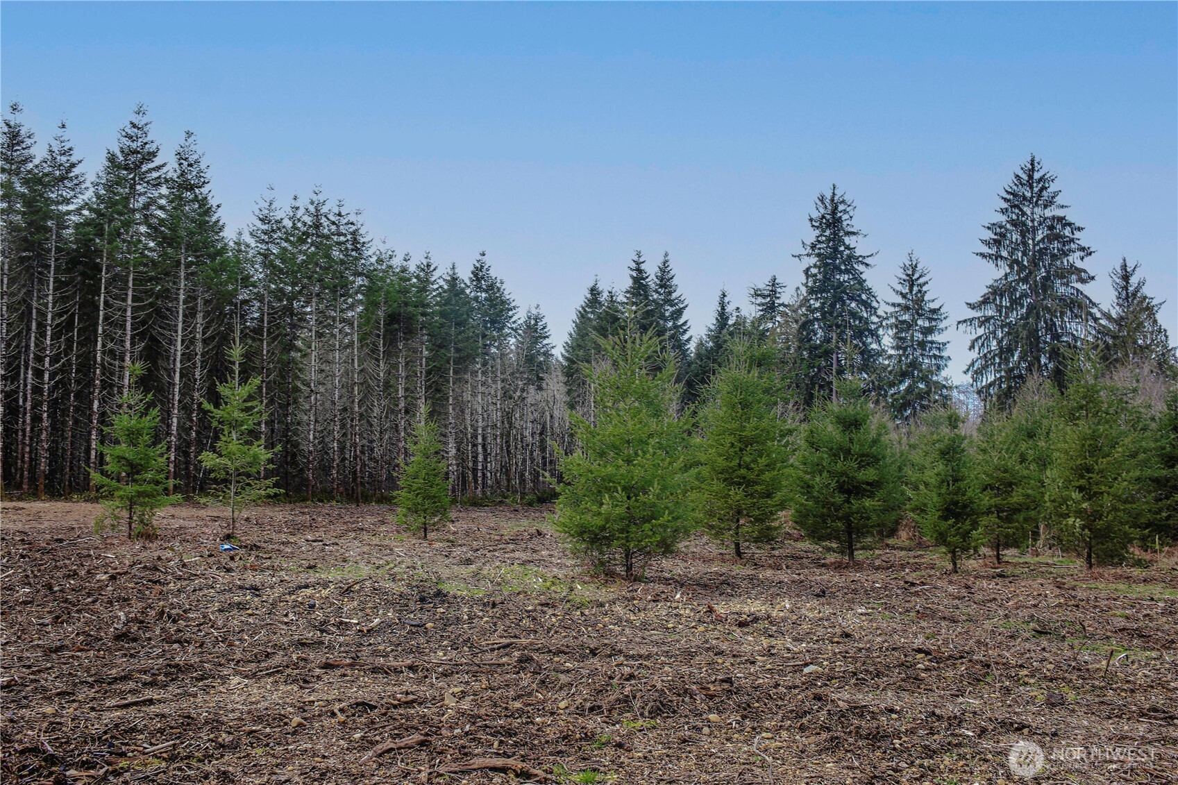 120 Larson Road Mccleary WA 98557