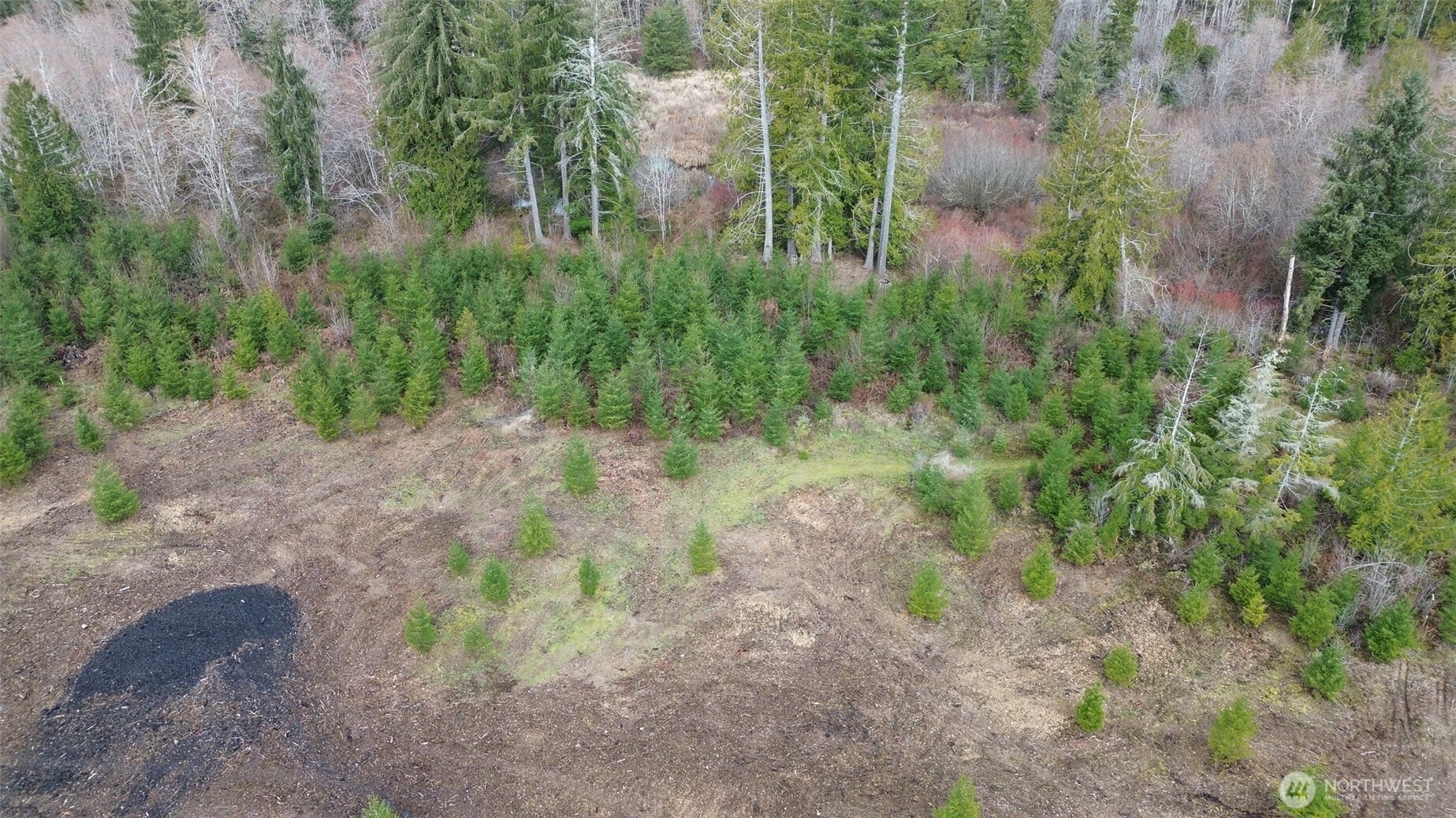 120 Larson Road Mccleary WA 98557
