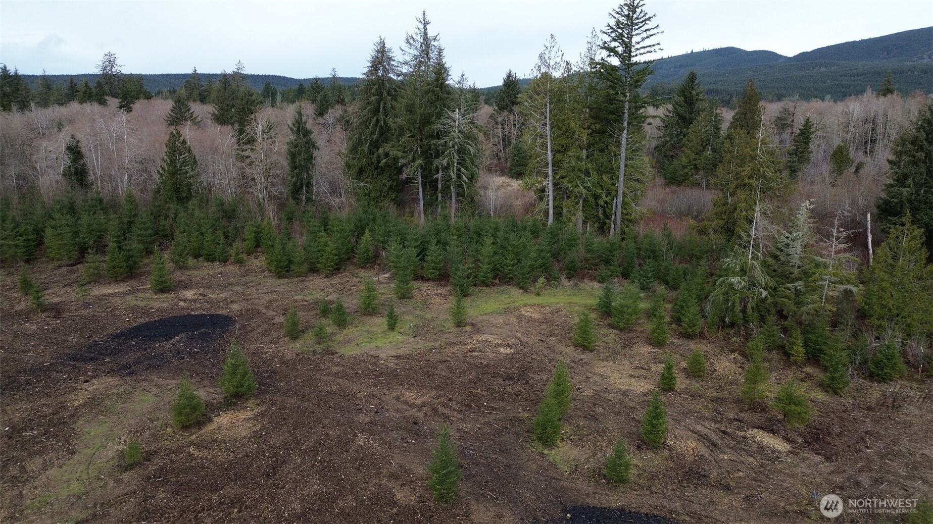 120 Larson Road Mccleary WA 98557