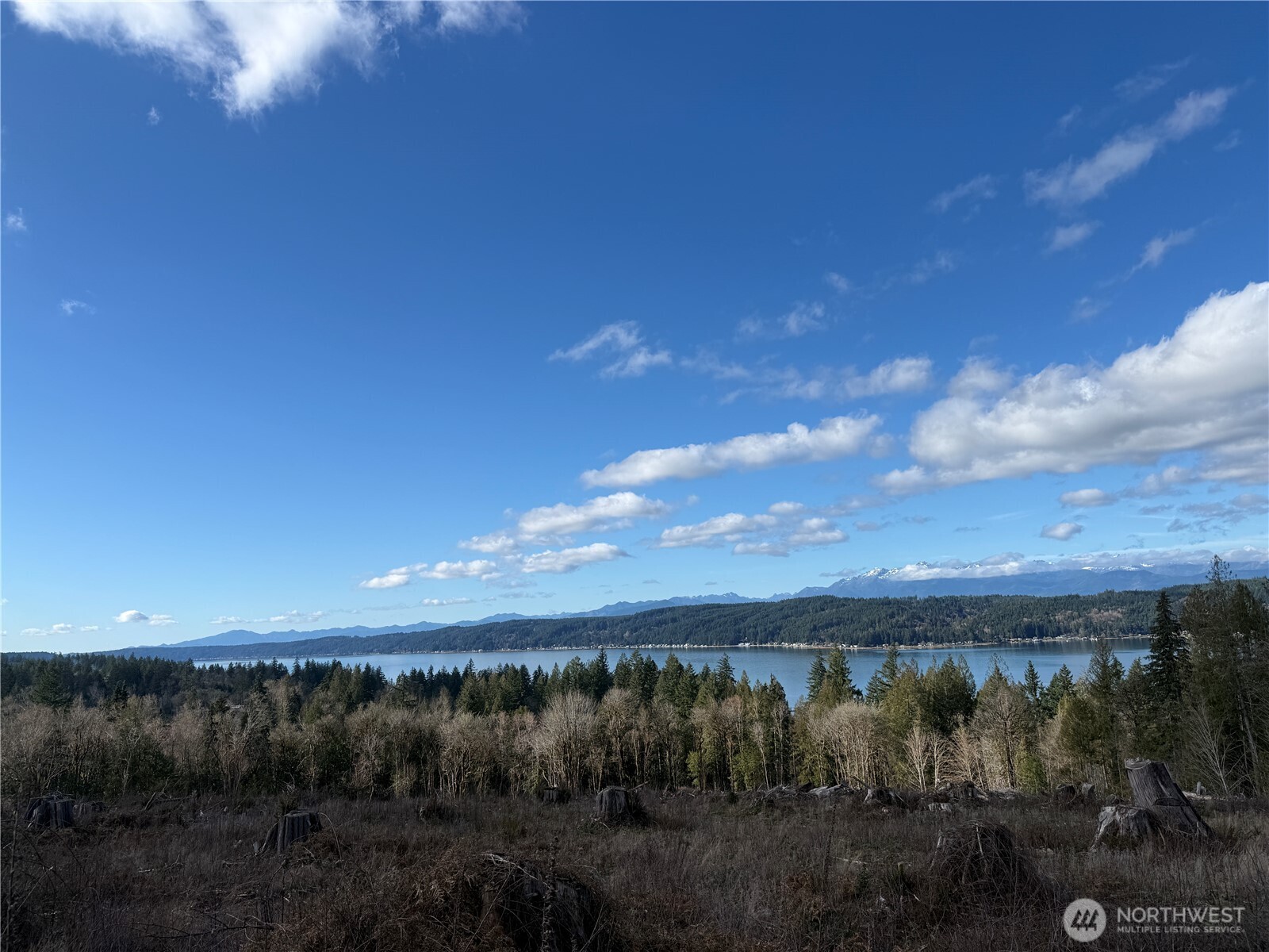 7 Rimstone Loop Belfair WA 98528
