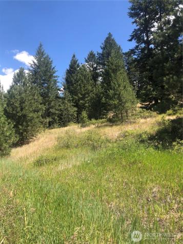 22 Pine Chee Road Oroville WA 98844