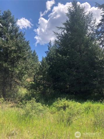 22 Pine Chee Road Oroville WA 98844