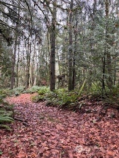 0 Glenwood Road SW Port Orchard WA 98366