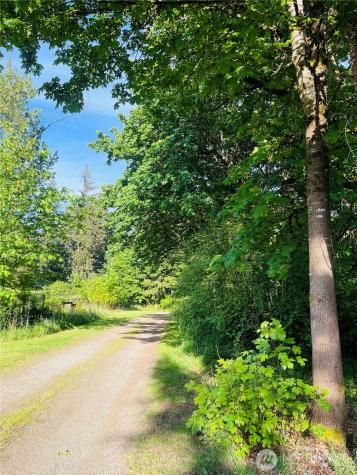 8806 356th Street S Mckenna WA 98558