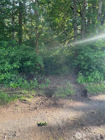 8806 356th Street S Mckenna WA 98558