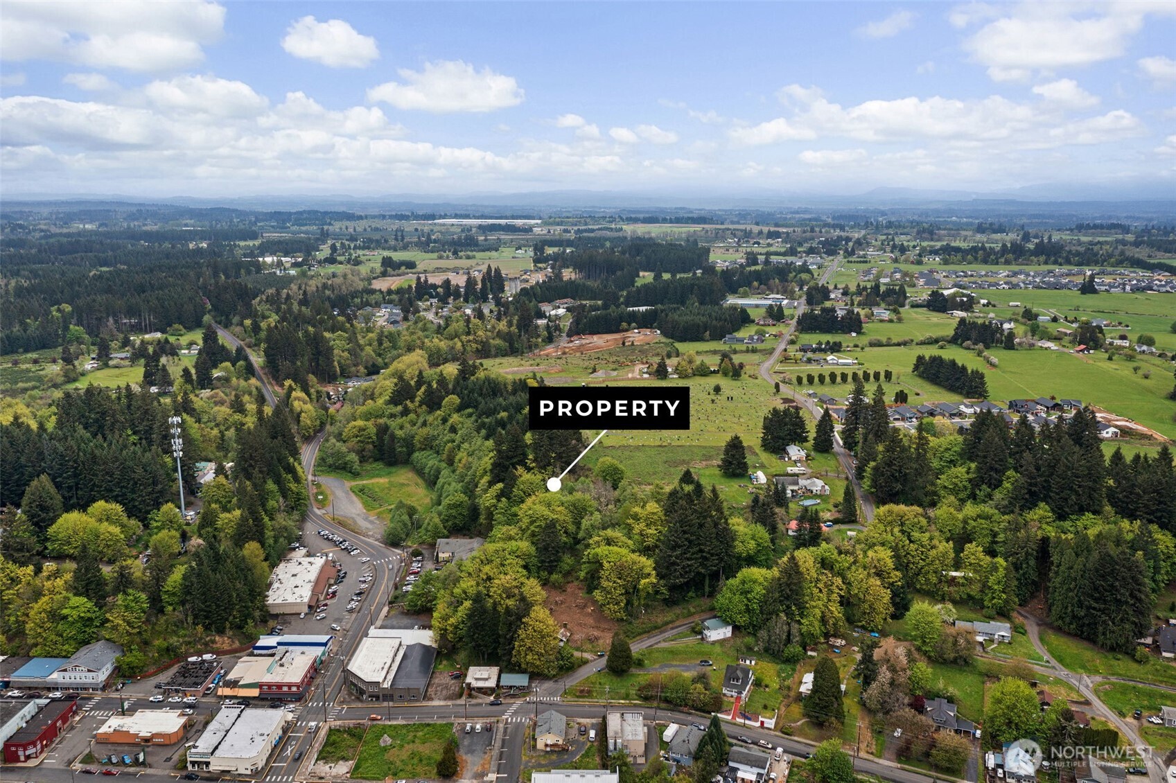 0 SE Cowlitz Road Winlock WA 98596