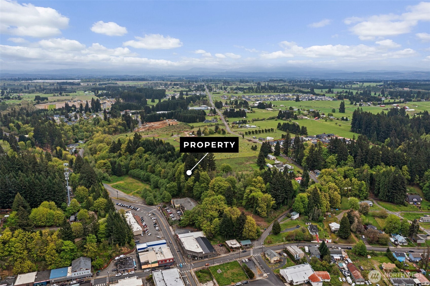 0 SE Cowlitz Road Winlock WA 98596