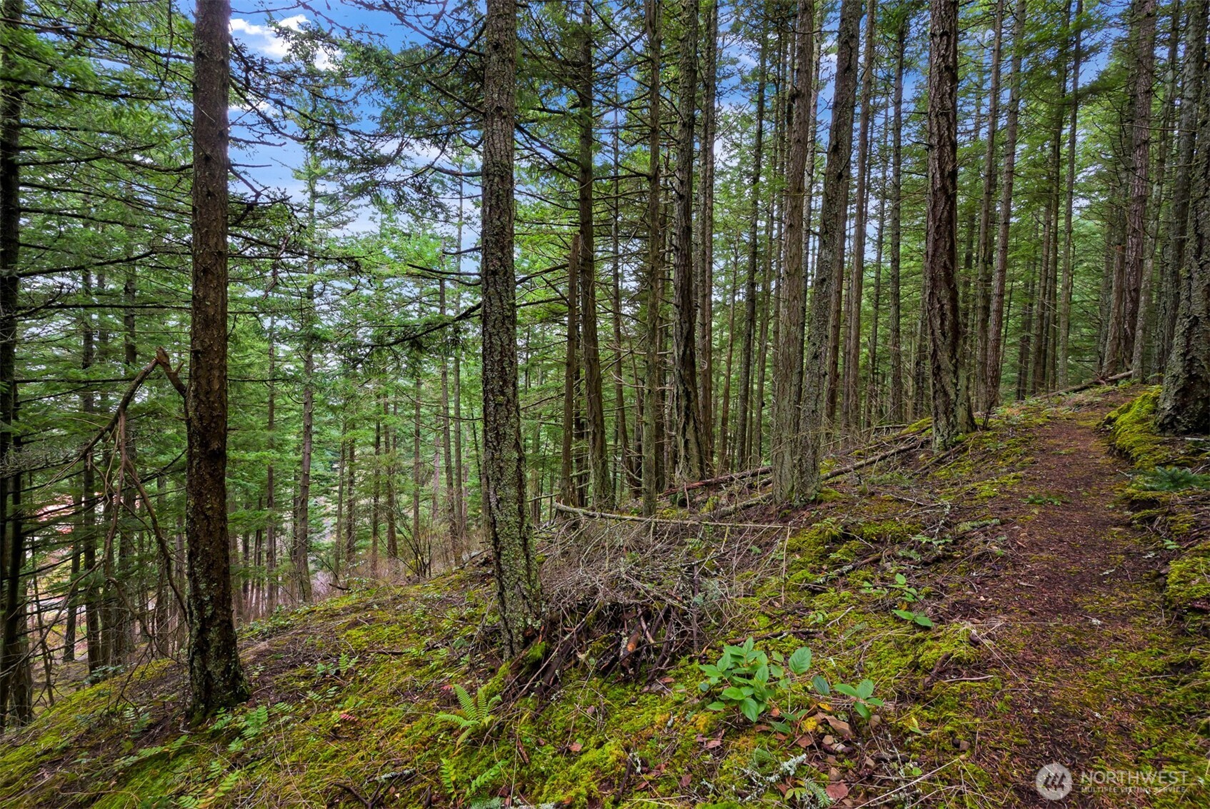3071 Hales Passage Drive Lummi Island WA 98262