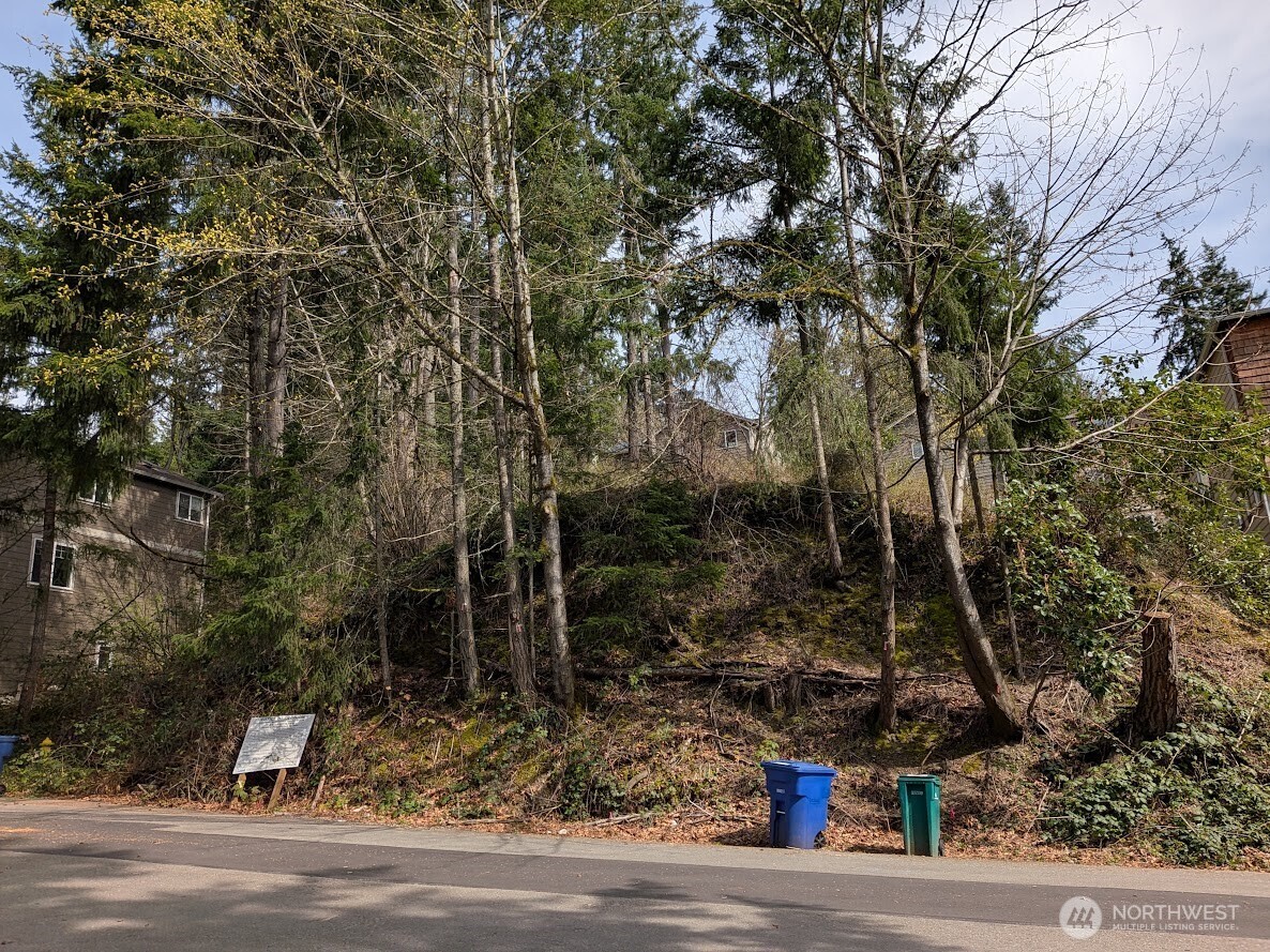 1324 211th Avenue NE Sammamish WA 98074