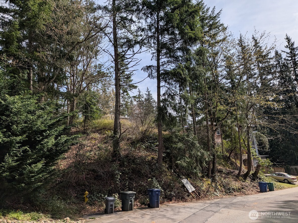 1324 211th Avenue NE Sammamish WA 98074