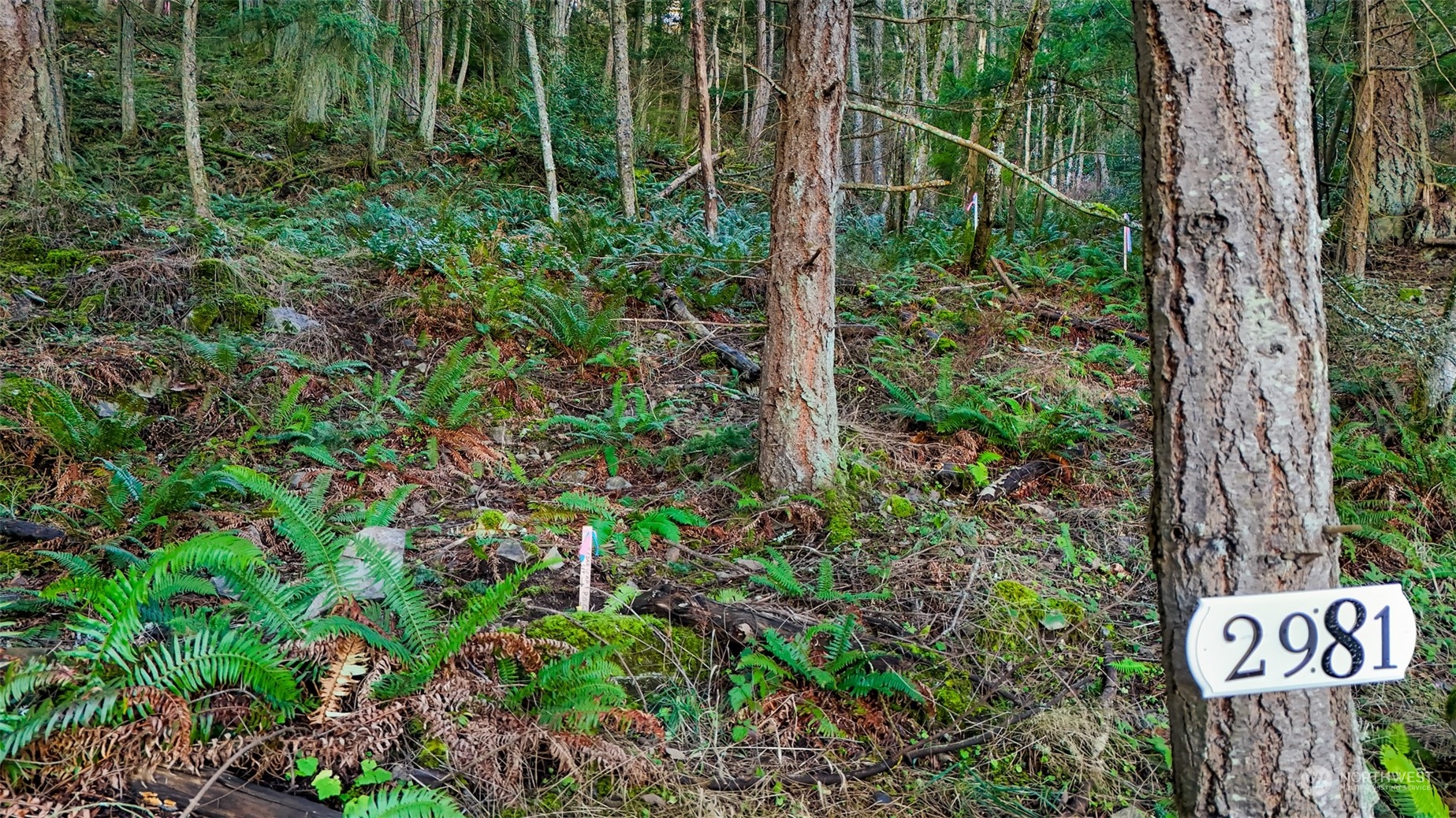 2981 Hales Passage Drive Lummi Island WA 98262
