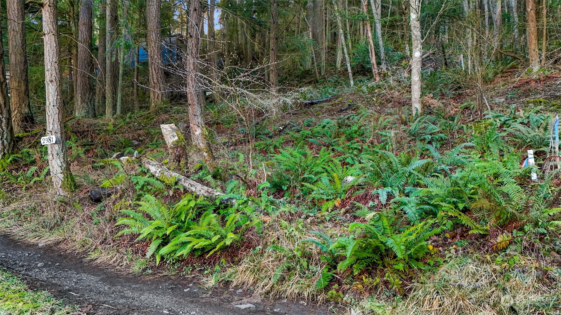 2981 Hales Passage Drive Lummi Island WA 98262