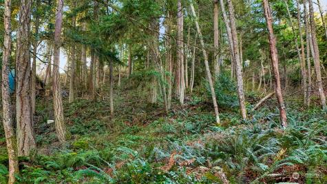 2981 Hales Passage Drive Lummi Island WA 98262