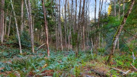 2981 Hales Passage Drive Lummi Island WA 98262