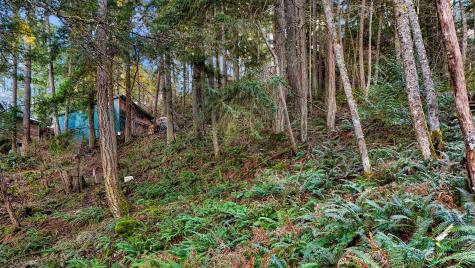 2981 Hales Passage Drive Lummi Island WA 98262