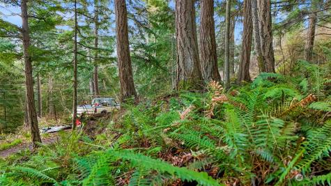 2981 Hales Passage Drive Lummi Island WA 98262
