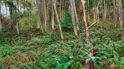 2981 Hales Passage Drive Lummi Island WA 98262