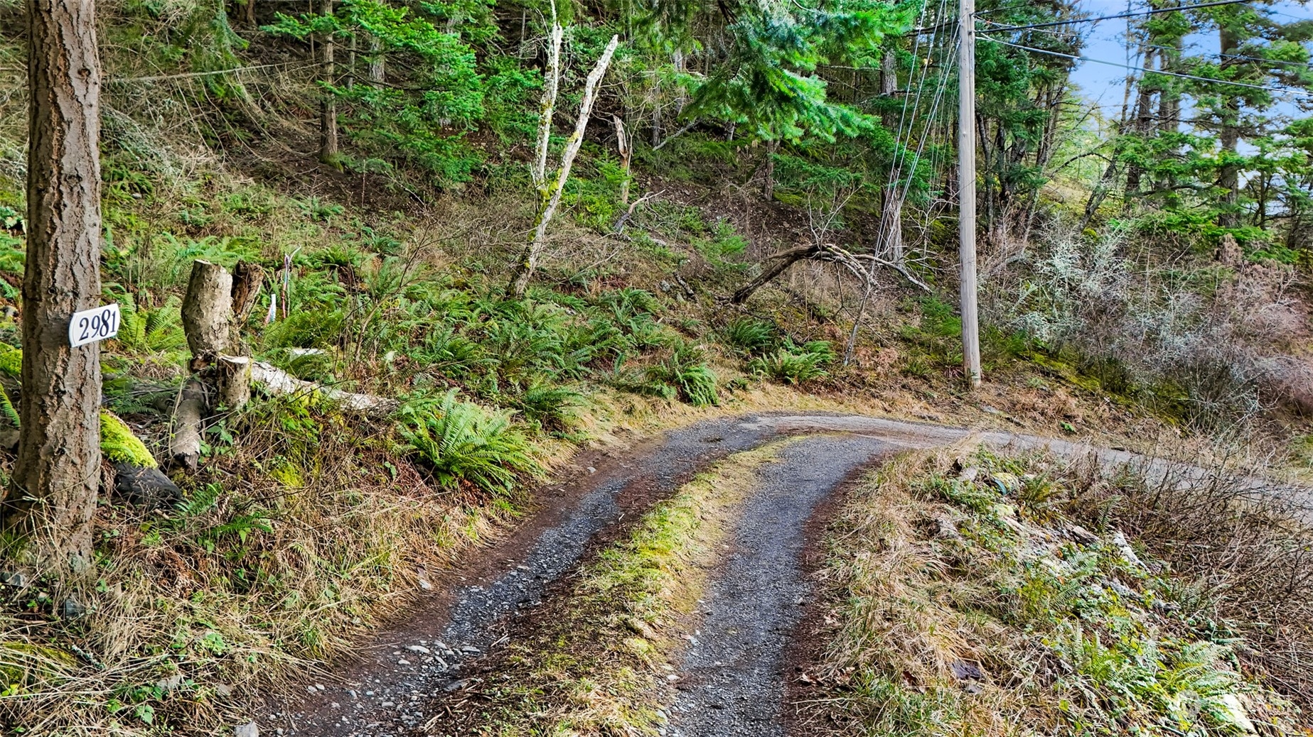 2981 Hales Passage Drive Lummi Island WA 98262