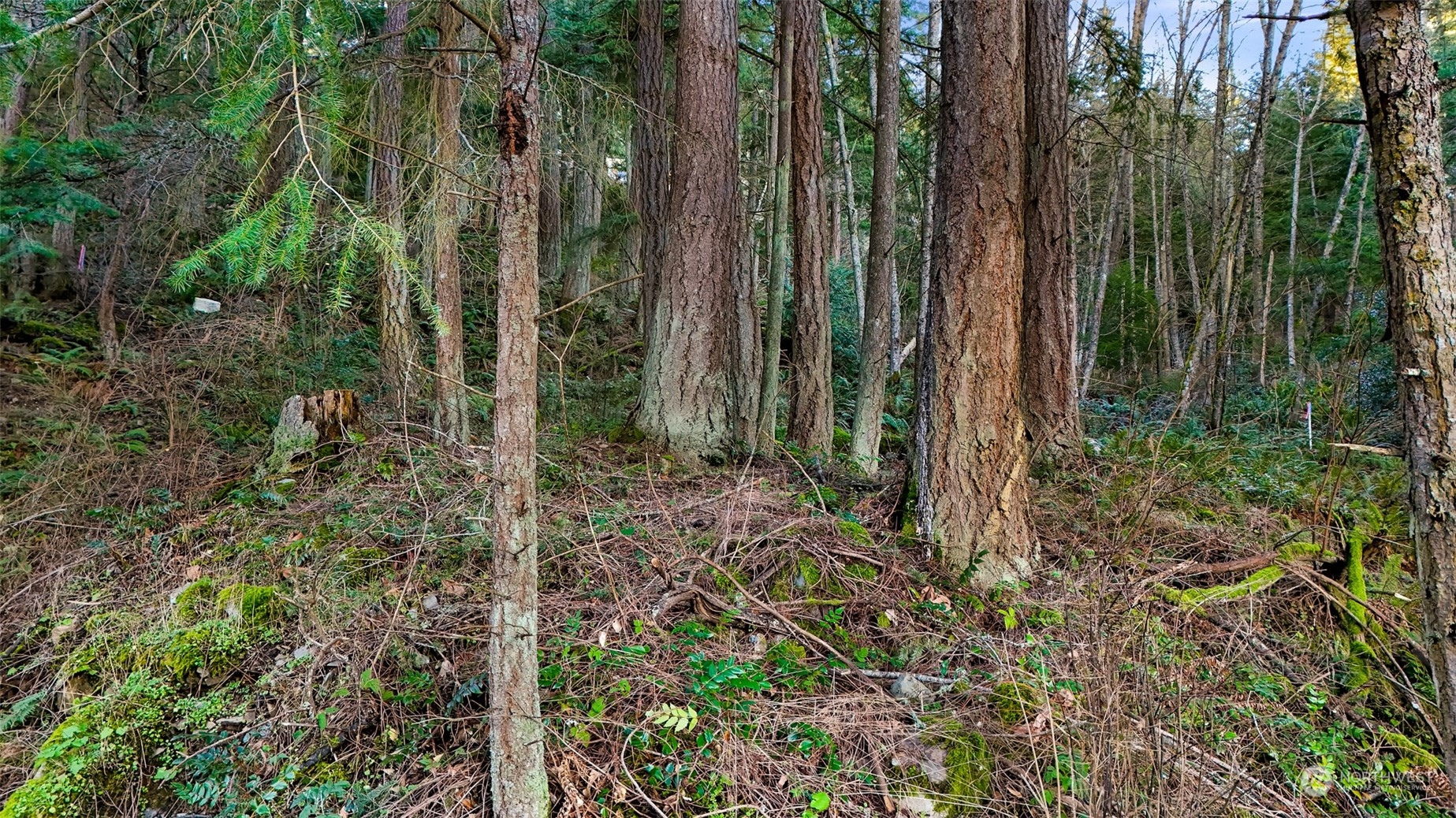 2981 Hales Passage Drive Lummi Island WA 98262