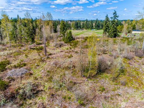 0 40th Avenue S Roy WA 98580