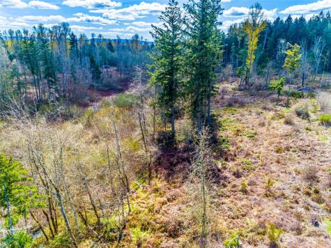 0 40th Avenue S Roy WA 98580