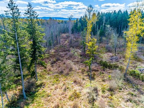 0 40th Avenue S Roy WA 98580
